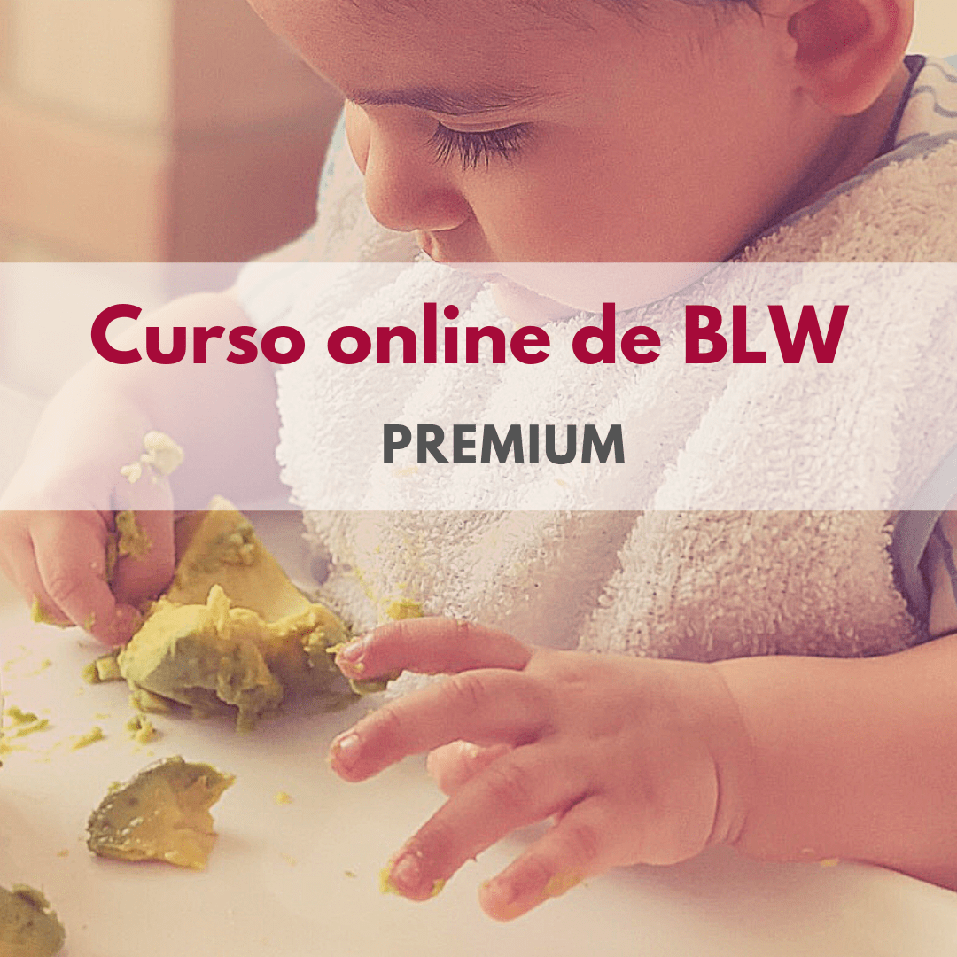 curso online de BLW premium